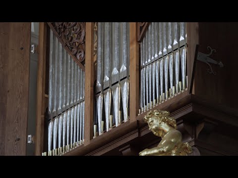 Organy tynieckie — miniatura filmu